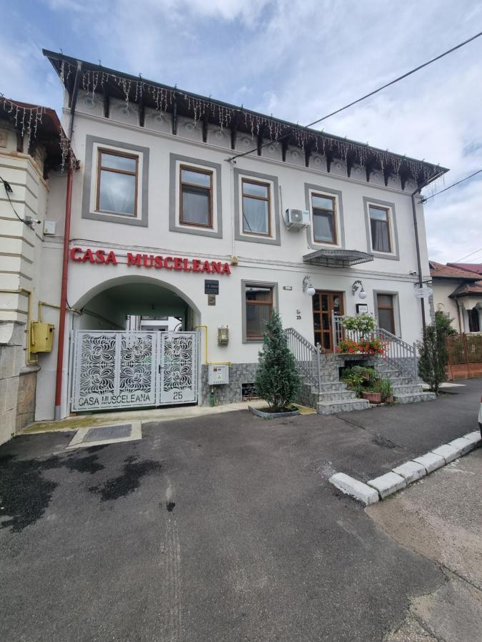 Casa Musceleana Hotel Campulung Exterior photo