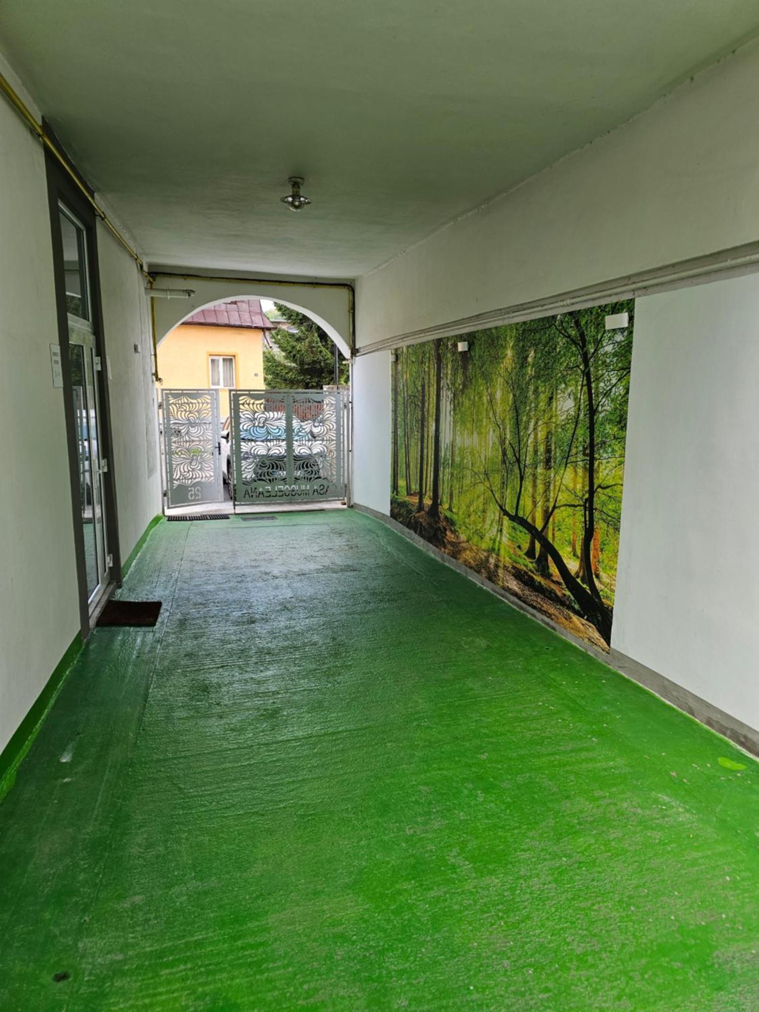 Casa Musceleana Hotel Campulung Exterior photo